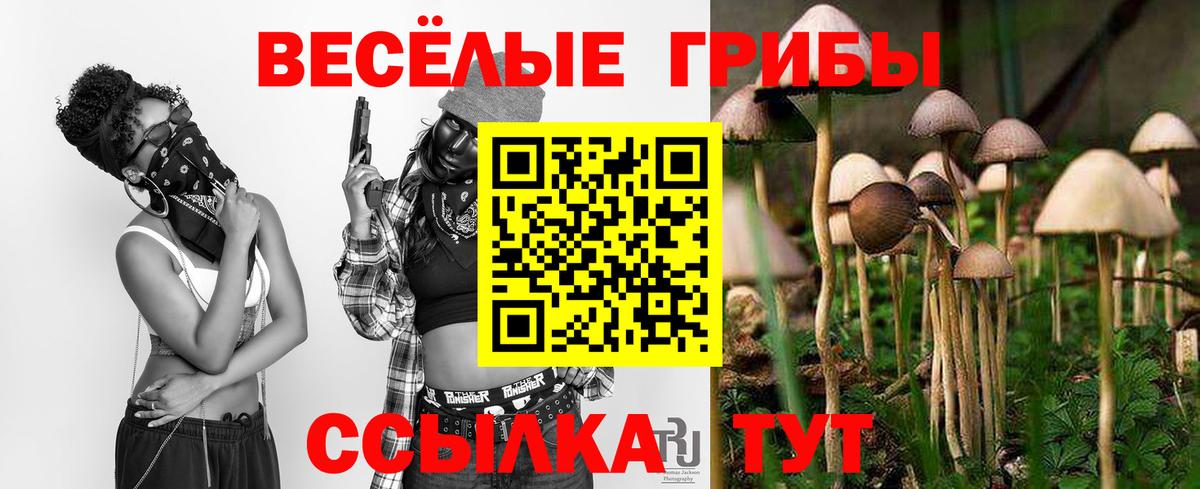 Благовещенск  Псилоцибиновые грибы мицелий  Вход с VPN  Псилоцибиновые грибы прущие грибы 